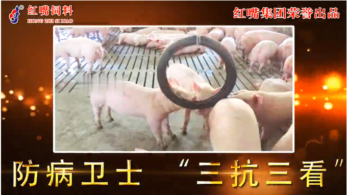 1652421599113642.png 1652421599113642.png